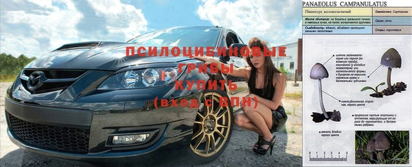 spice Абдулино