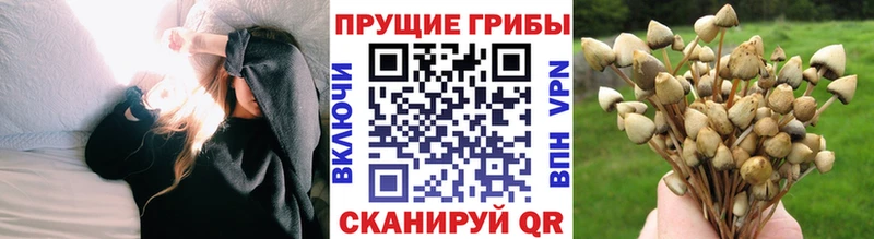 Галлюциногенные грибы мицелий  Комсомольск-на-Амуре 