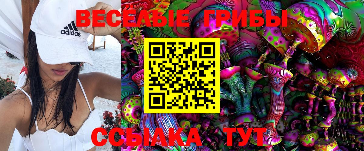 Комсомольск-на-Амуре  купить наркотики сайты  Вход с VPN  Галлюциногенные грибы GOLDEN TEACHER  Псилоцибиновые грибы Magic Shrooms 