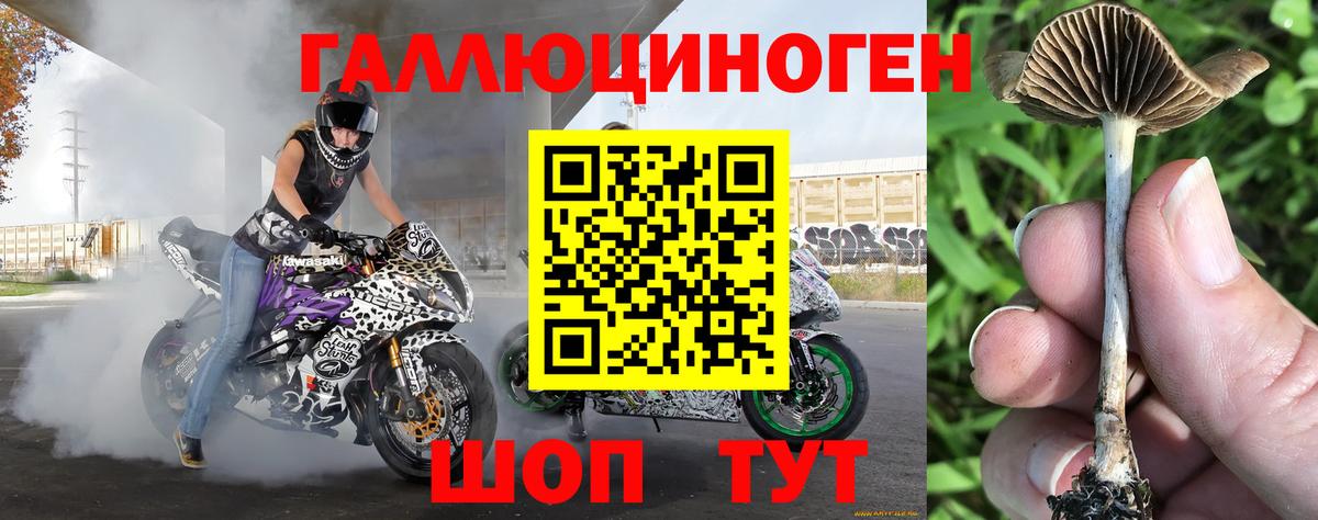 Галлюциногенные грибы ЛСД Комсомольск-на-Амуре